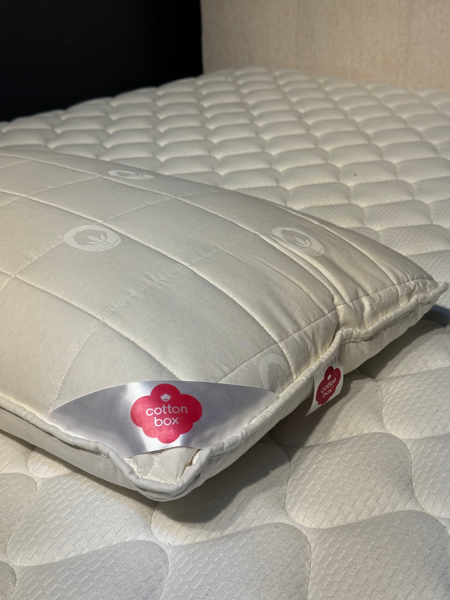 Kissen wie Baumwolle