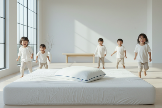 Premium Embrace SKY- ViscoElastic Pillow